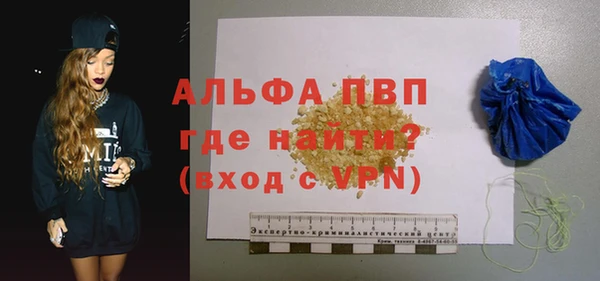 хмурый Арсеньев