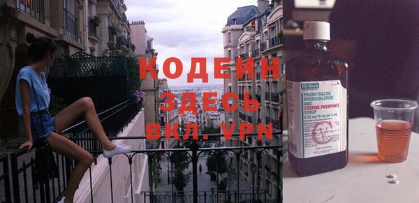 хмурый Арсеньев