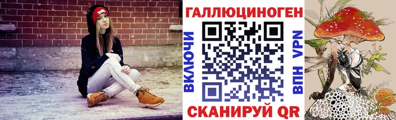 закладки  Саянск  OMG зеркало  Галлюциногенные грибы Psilocybe 